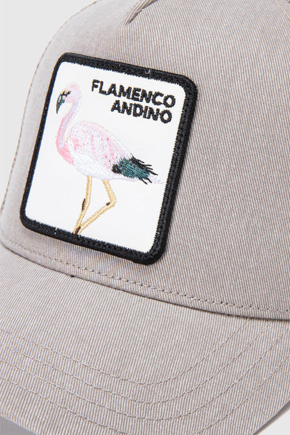 Jockey Flamenco Con Causa Beige Lavado Kids