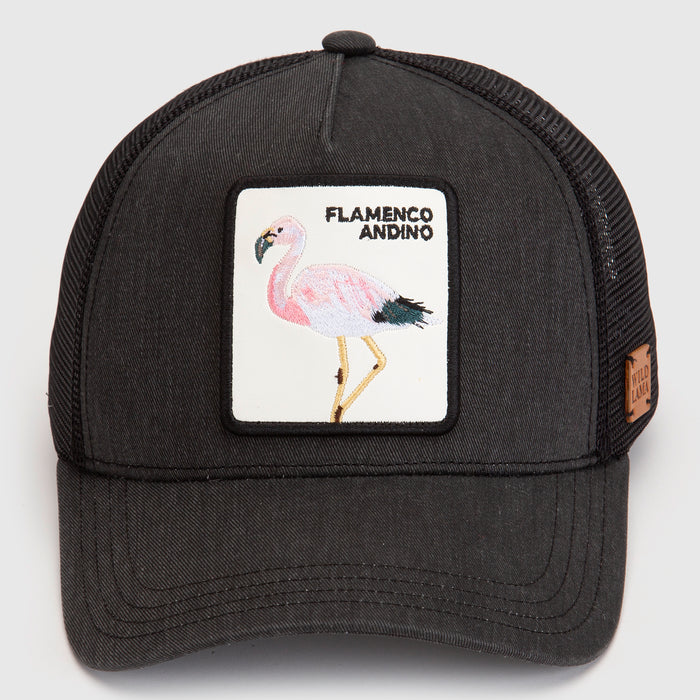 Jockey Flamenco Con Causa Negro Lavado