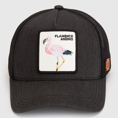 Jockey Flamenco Con Causa Negro Lavado