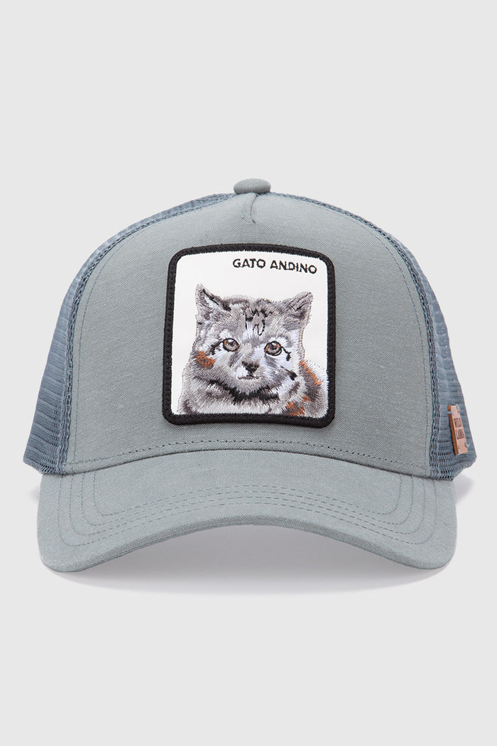 Jockey Gato Andino Con Causa Aqua Lino