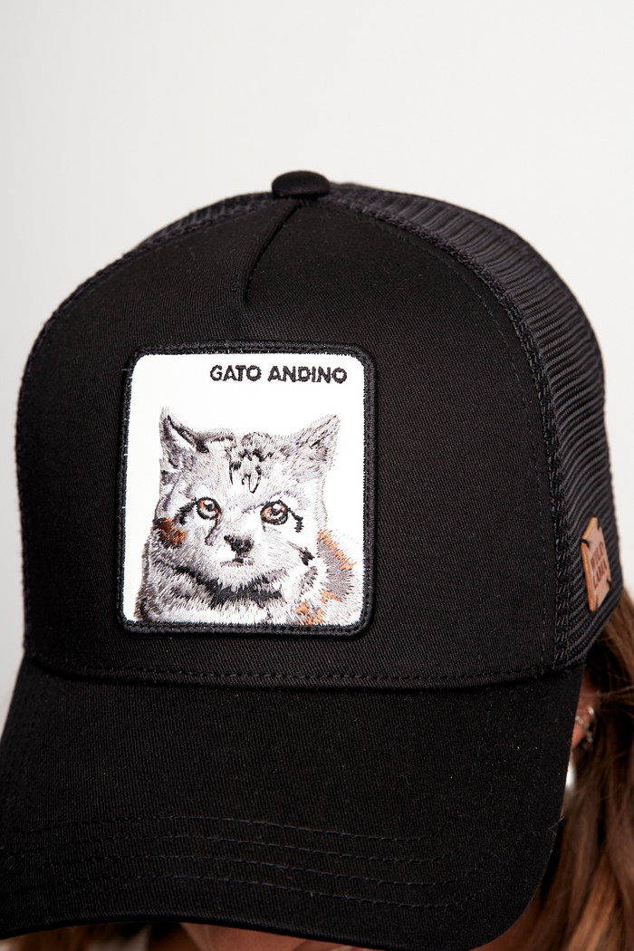 Jockey Gato Andino Con Causa Negro