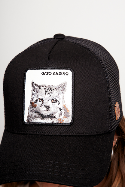Jockey Gato Andino Con Causa Negro