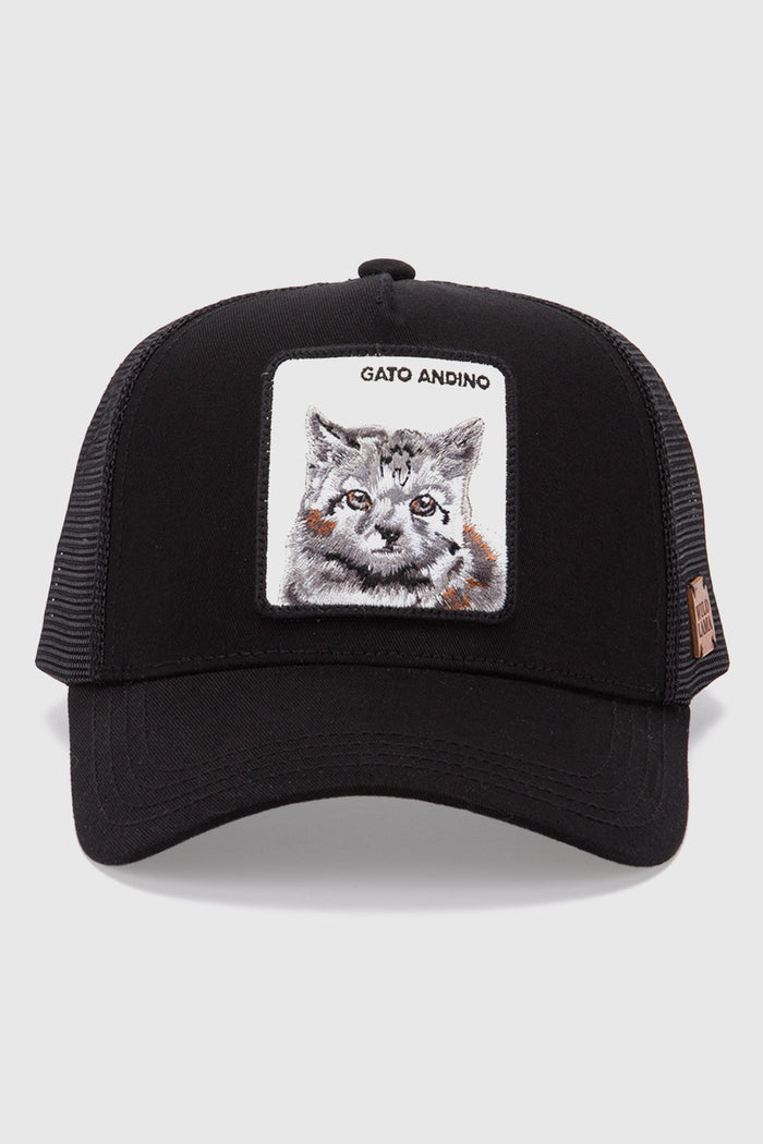 Jockey Gato Andino Con Causa Negro