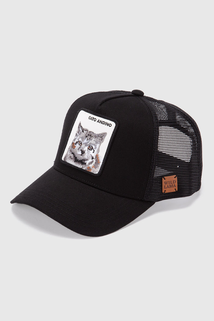 Jockey Gato Andino Con Causa Negro