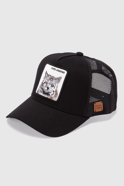 Jockey Gato Andino Con Causa Negro