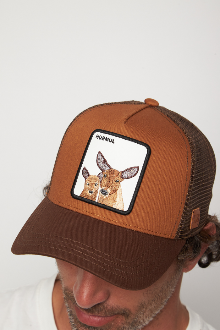 Jockey Huemul Cachorro Con Causa Café