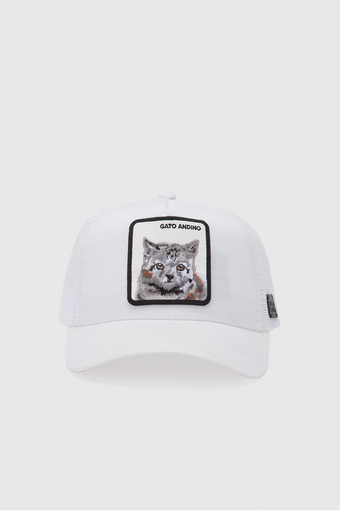 Jockey Kids Gato Andino Con Causa Blanco