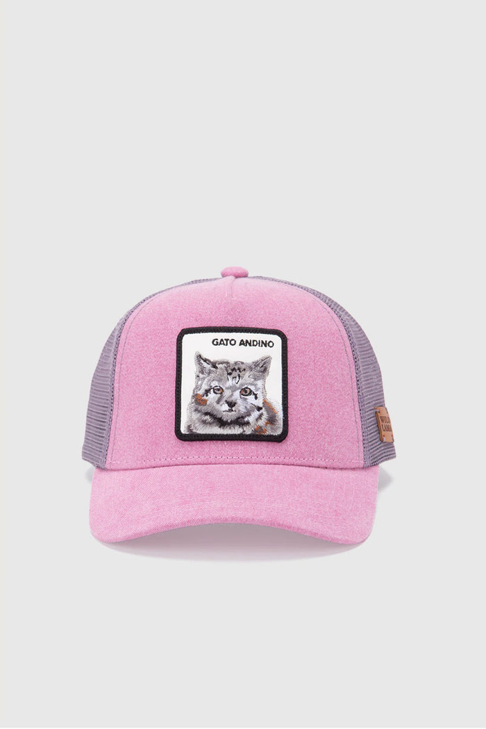 Jockey Kids Gato Andino Con Causa Rosado Lavado