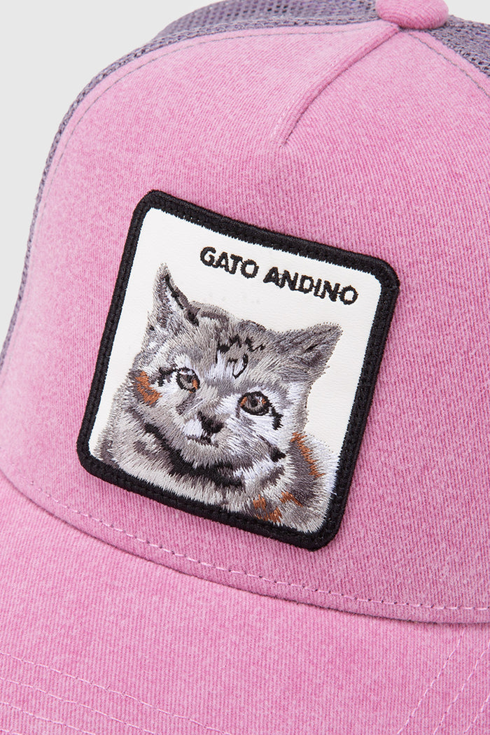 Jockey Kids Gato Andino Con Causa Rosado Lavado