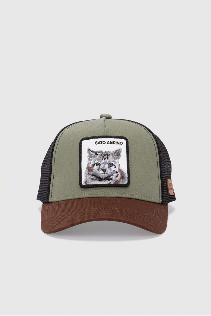 Jockey Kids Gato Andino Con Causa Verde