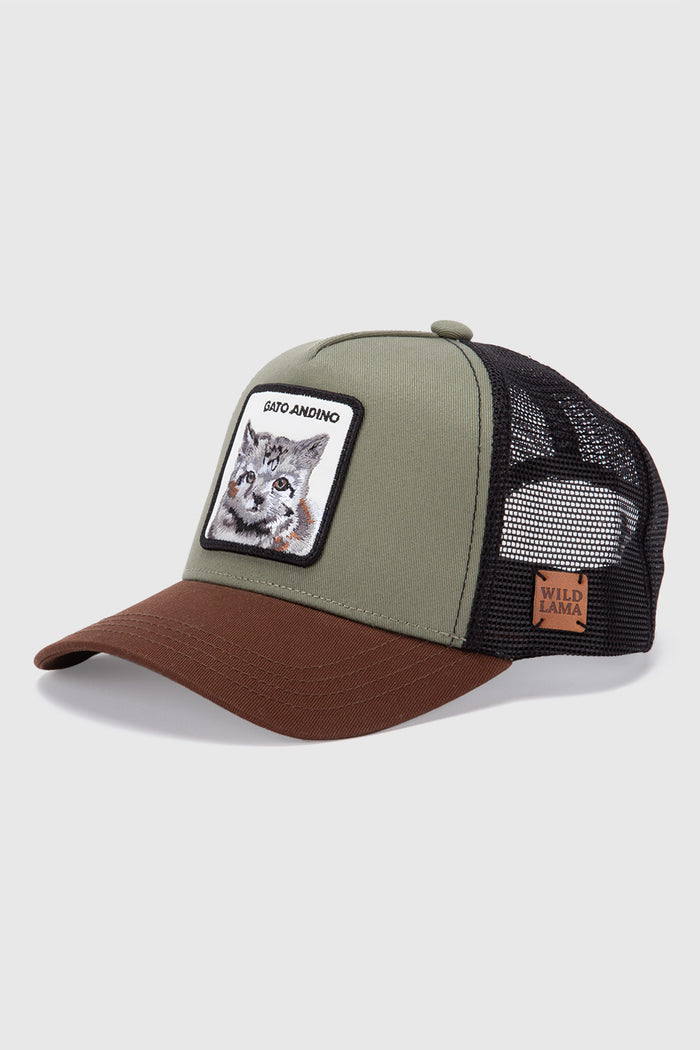Jockey Kids Gato Andino Con Causa Verde