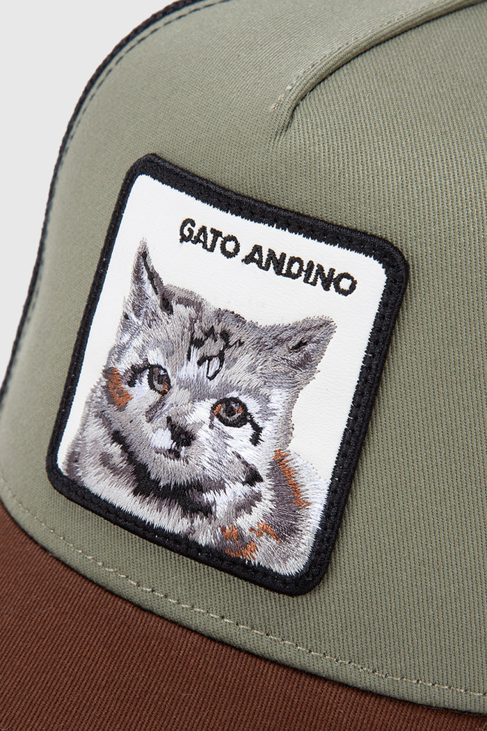 Jockey Kids Gato Andino Con Causa Verde