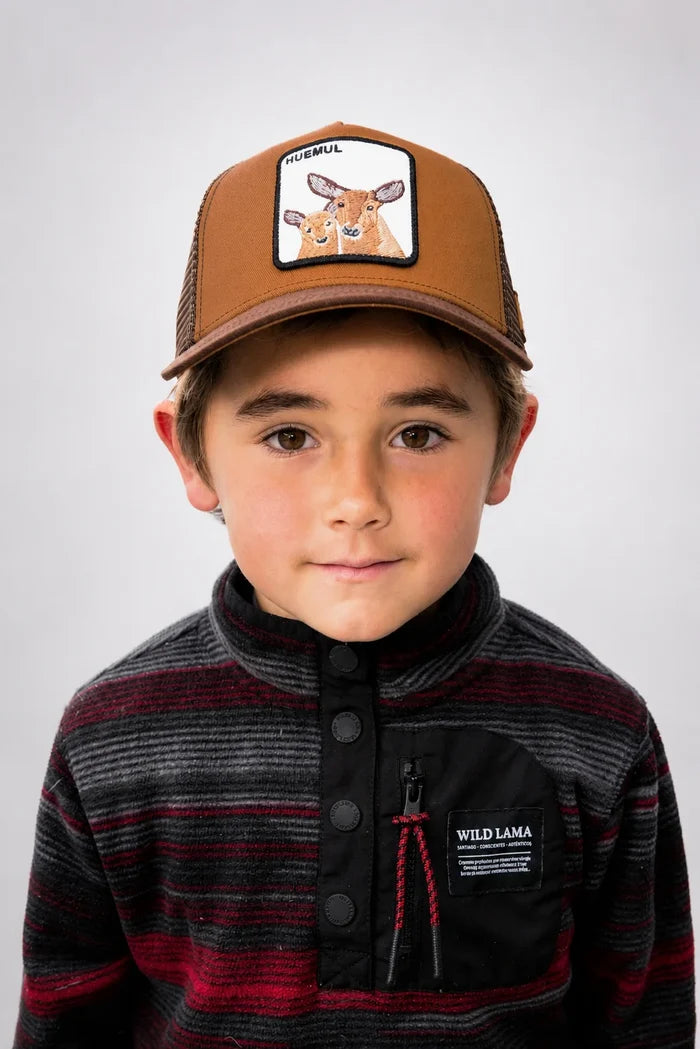 Jockey Kids Huemul Cachorro Con Causa Café