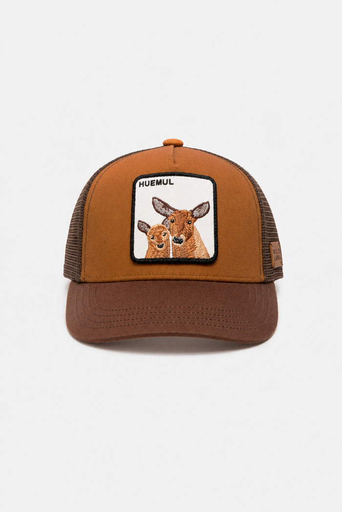 Jockey Kids Huemul Cachorro Con Causa Café