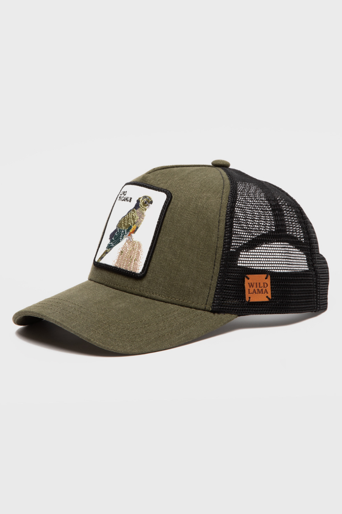 Jockey Loro Tricahue Con Causa Verde Lavado