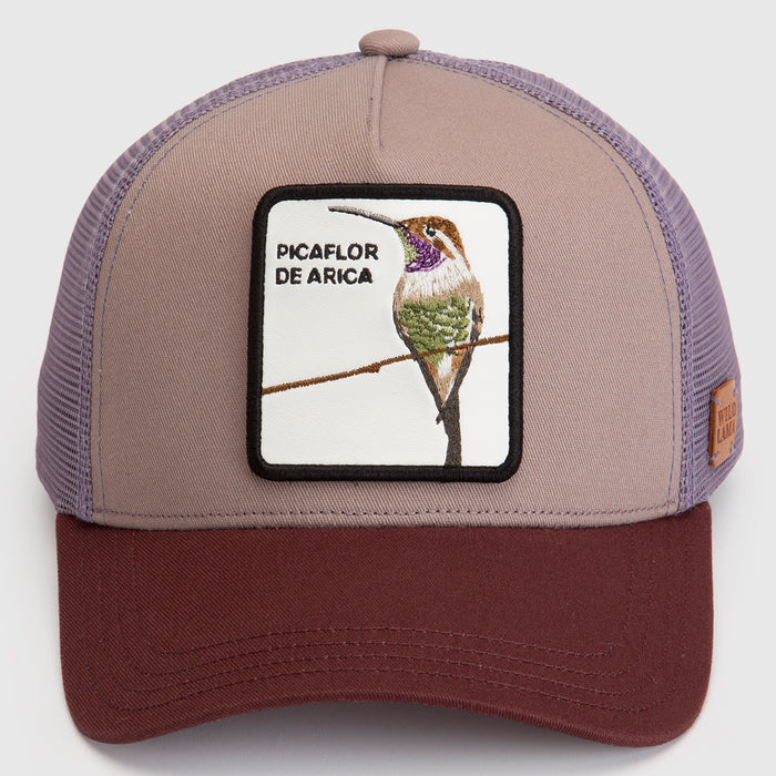 Jockey Picaflor Con Causa Lila