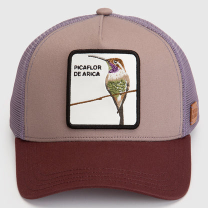 Jockey Picaflor Con Causa Lila
