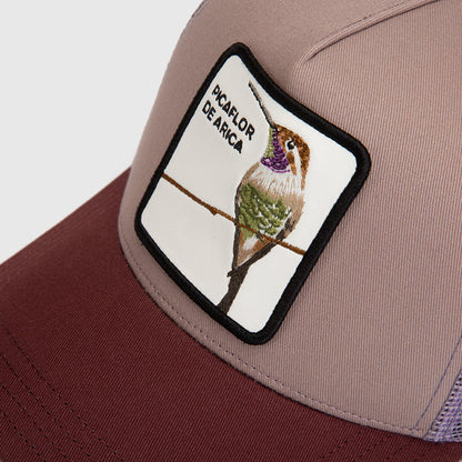 Jockey Picaflor Con Causa Lila