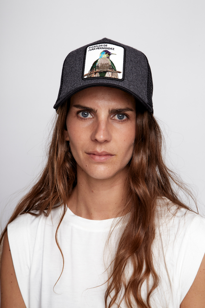 Jockey Picaflor de Juan Fernandez Lana Gris