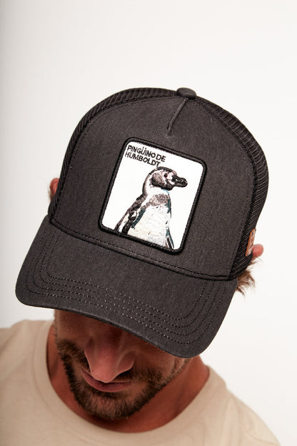 Jockey Pingüino Con Causa Negro