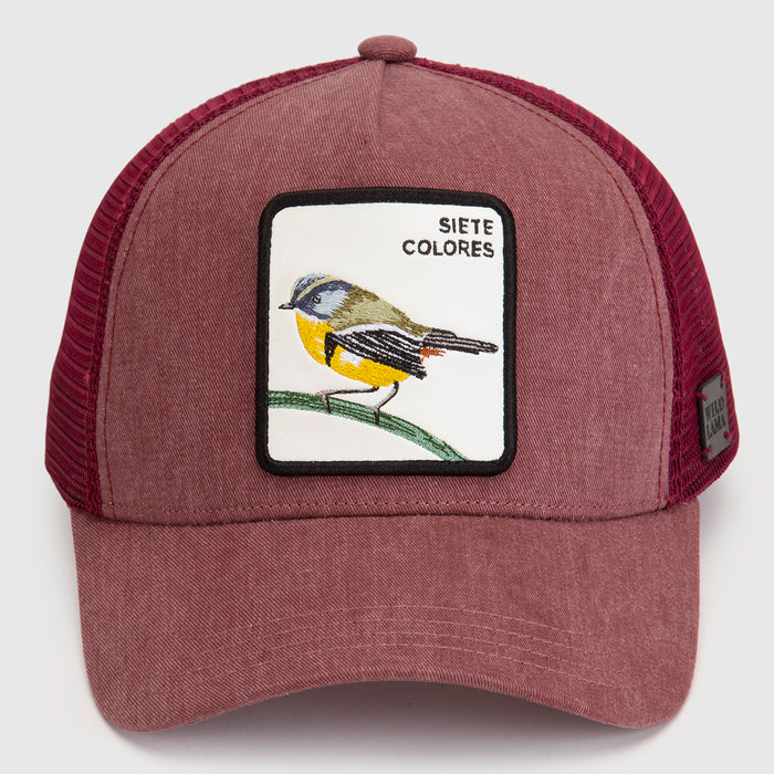 Jockey Siete Colores Con Causa Rosado Lavado