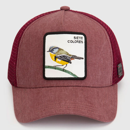 Jockey Siete Colores Con Causa Rosado Lavado