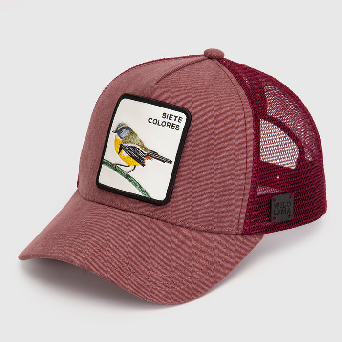 Jockey Siete Colores Con Causa Rosado Lavado