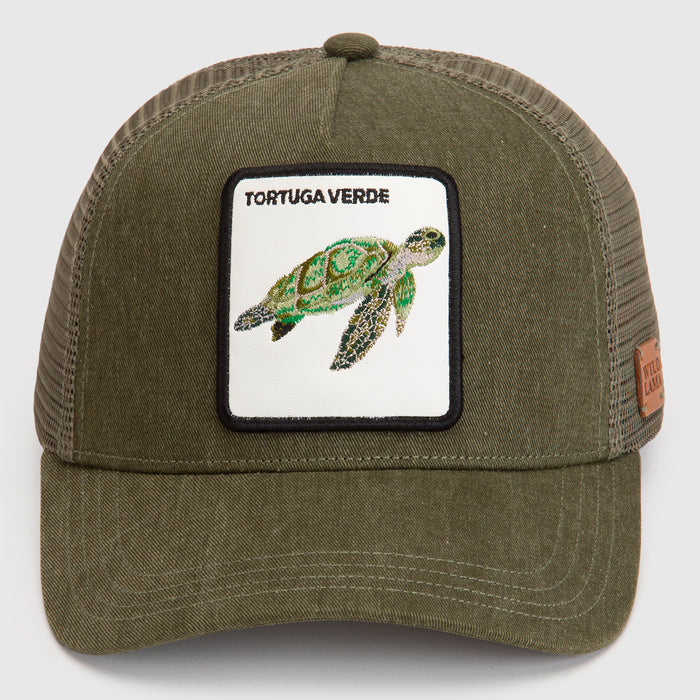Jockey Tortuga Con Causa Verde Militar Lavado