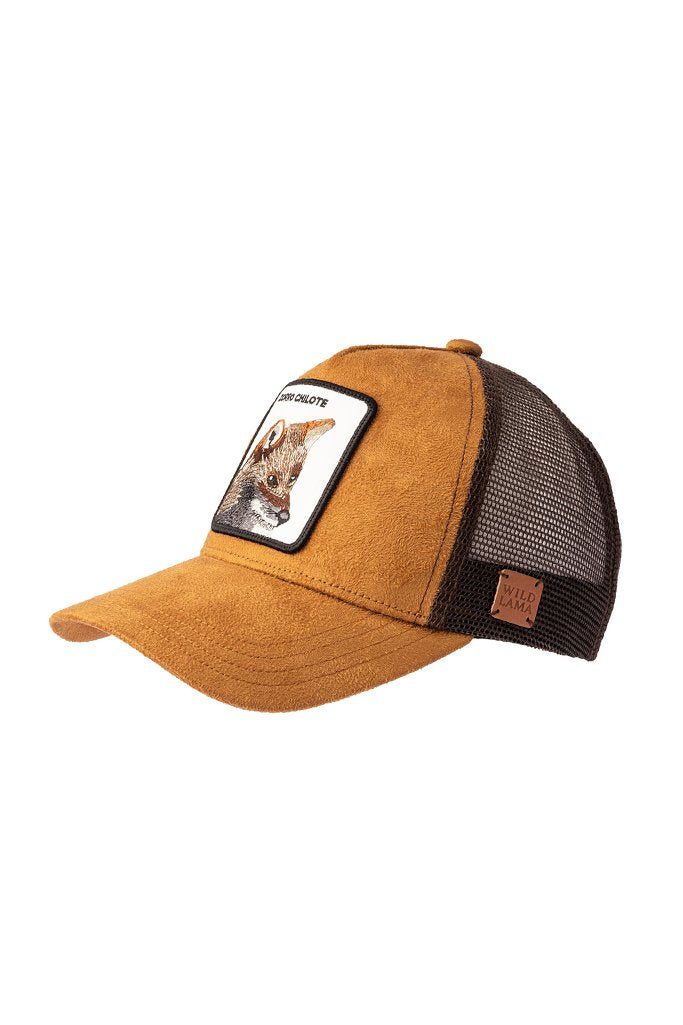 Jockey Zorro Chilote Camel Suede | Wild Lama
