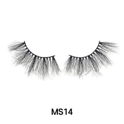 MS14
