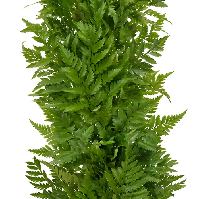 Leather Leaf Greens Garland