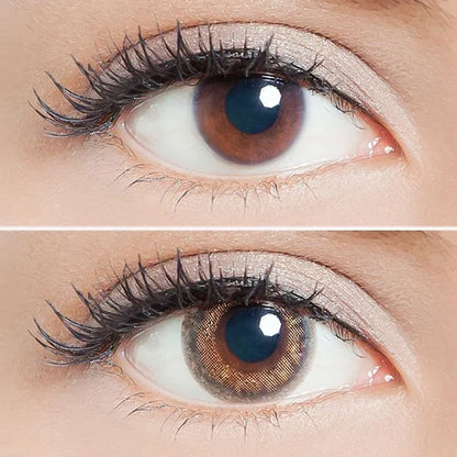 Lilmoon 1-Day Cream Grege (10pk) Color Contact Lens for Dark Eyes - Eyecandys