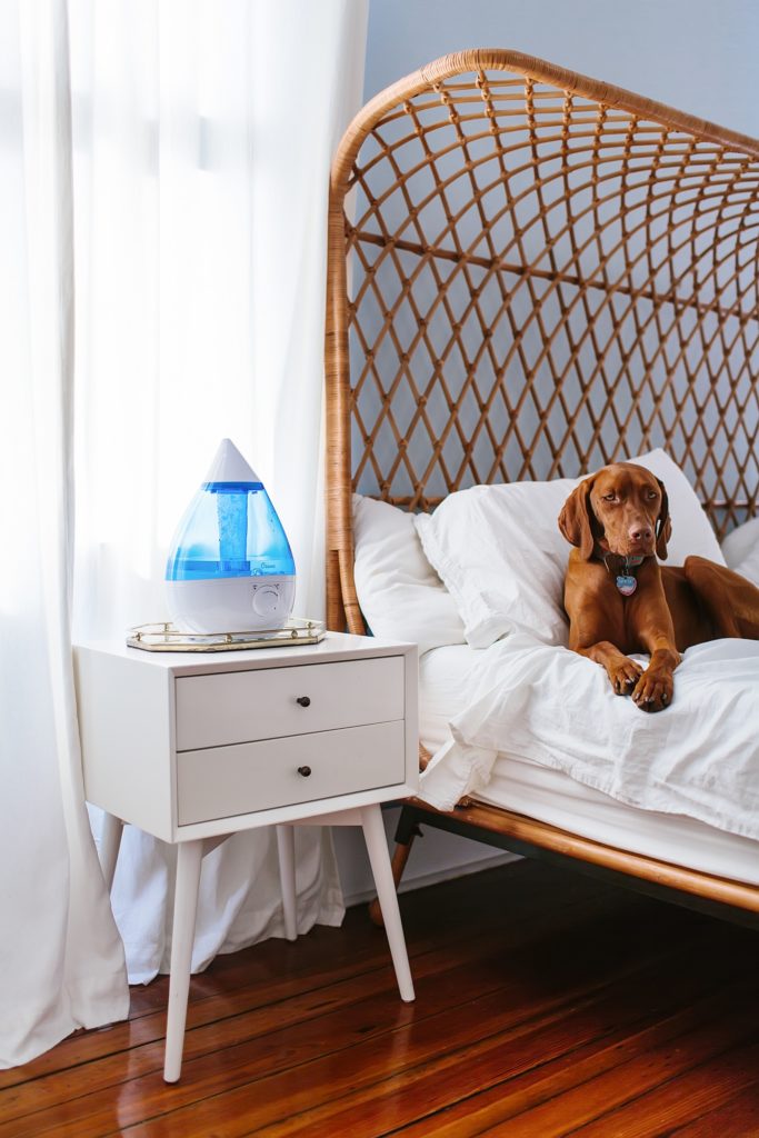 crane humidifier for dogs