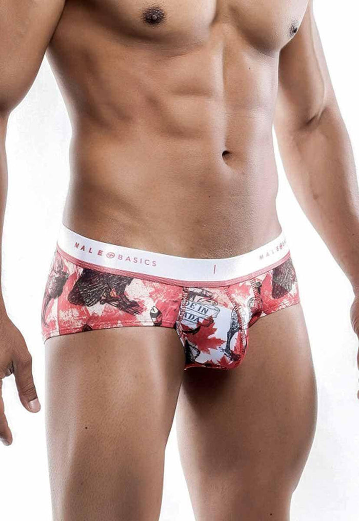 MaleBasics Hipster Brief Canada - Billyforce Shop