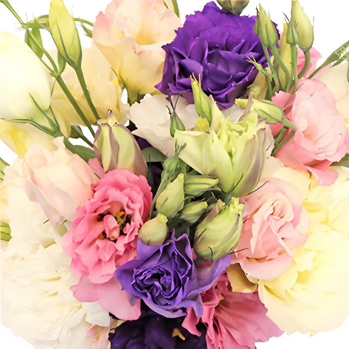 Mixed Designer Lisianthus Flower