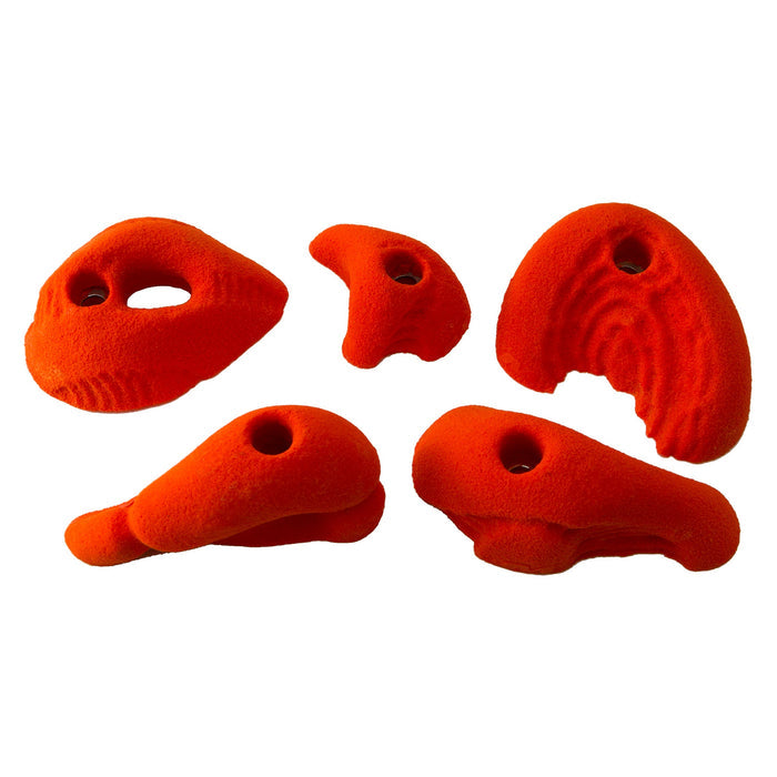 Naturals 5 Pack - B