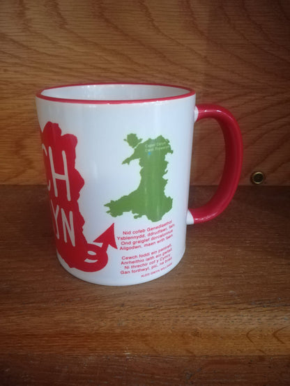 Mug - Cofiwch Dryweryn