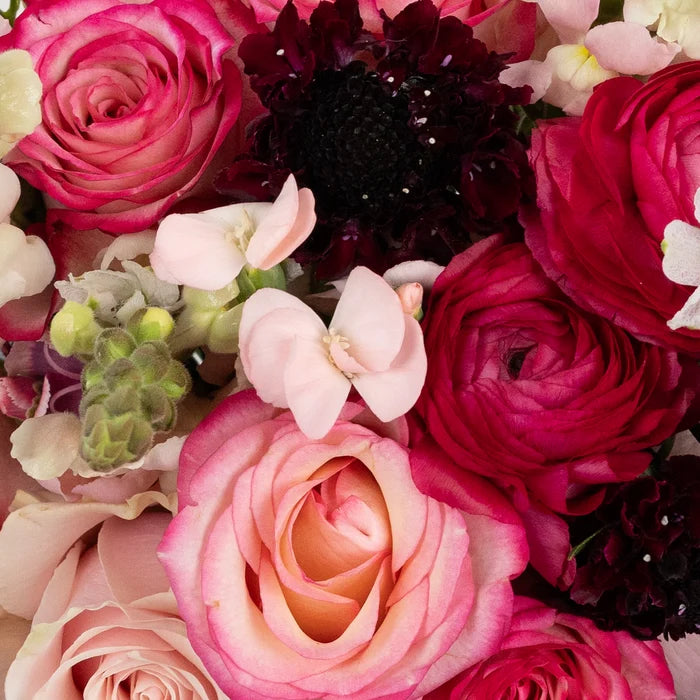 On Cloud Wine Flower Bouquet Stem - Image