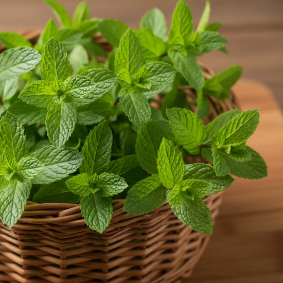 Green leaves in a woven basket on a wooden surface