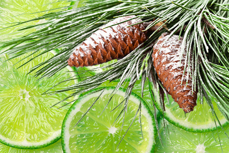 Pinecone & Lime Fragrance Oil 15975