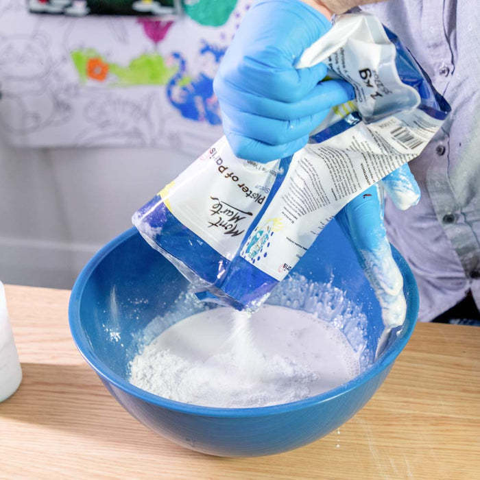 Plaster of Paris Signature 1kg
