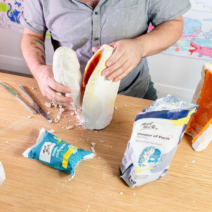 Plaster of Paris Signature 1kg