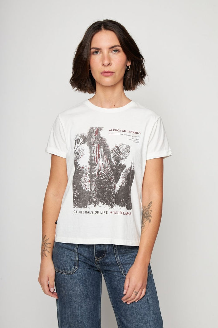 Polera Alerce Milenario Orgánica Beige Mujer