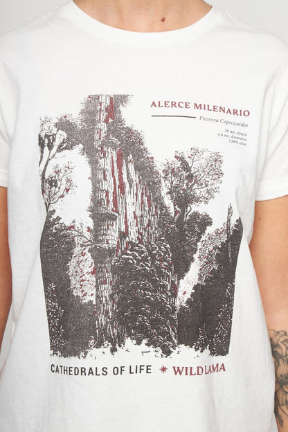 Polera Alerce Milenario Orgánica Beige Mujer