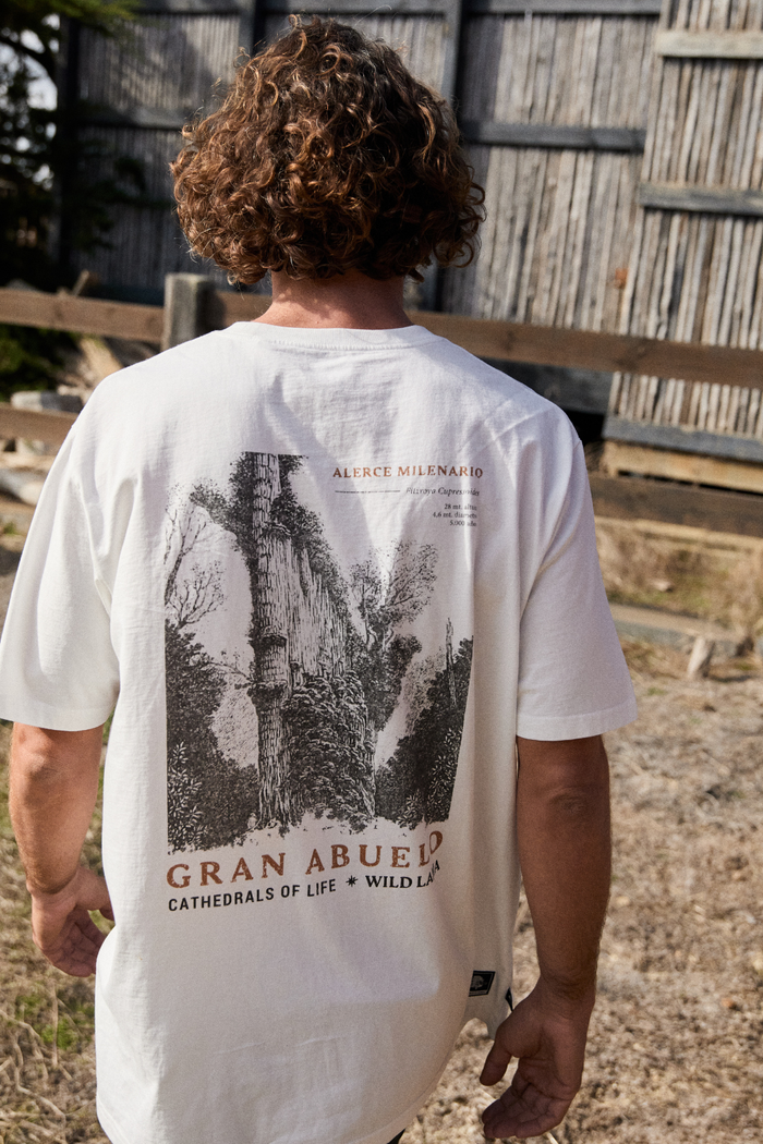 Polera Alerce Milenario Orgánica Blanca Hombre