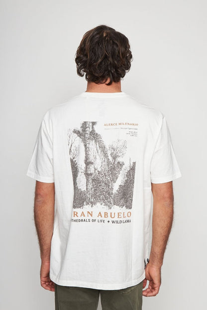 Polera Alerce Milenario Orgánica Blanca Hombre