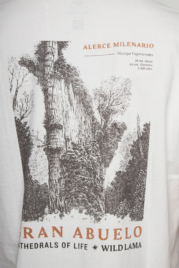 Polera Alerce Milenario Orgánica Blanca Hombre
