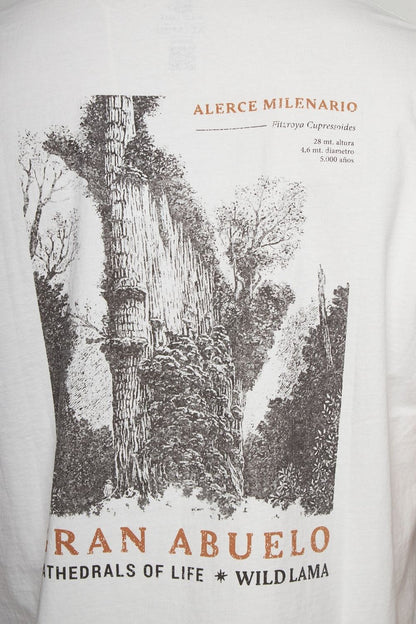 Polera Alerce Milenario Orgánica Blanca Hombre