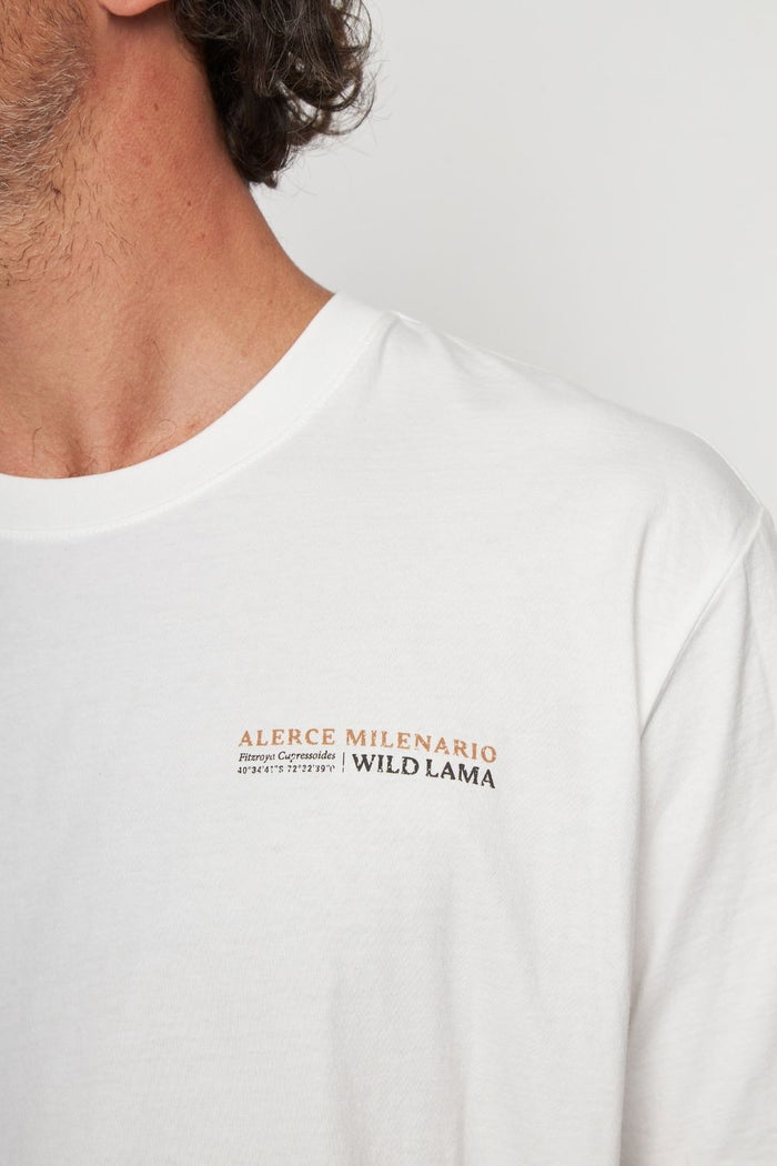 Polera Alerce Milenario Orgánica Blanca Hombre