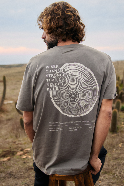 Polera Alerce Milenario Orgánica Café Hombre
